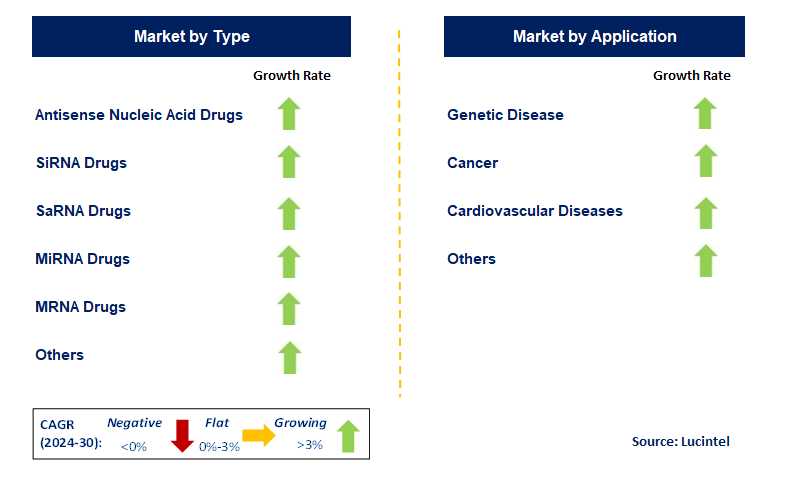 Nucleic Acid Drug by Segment